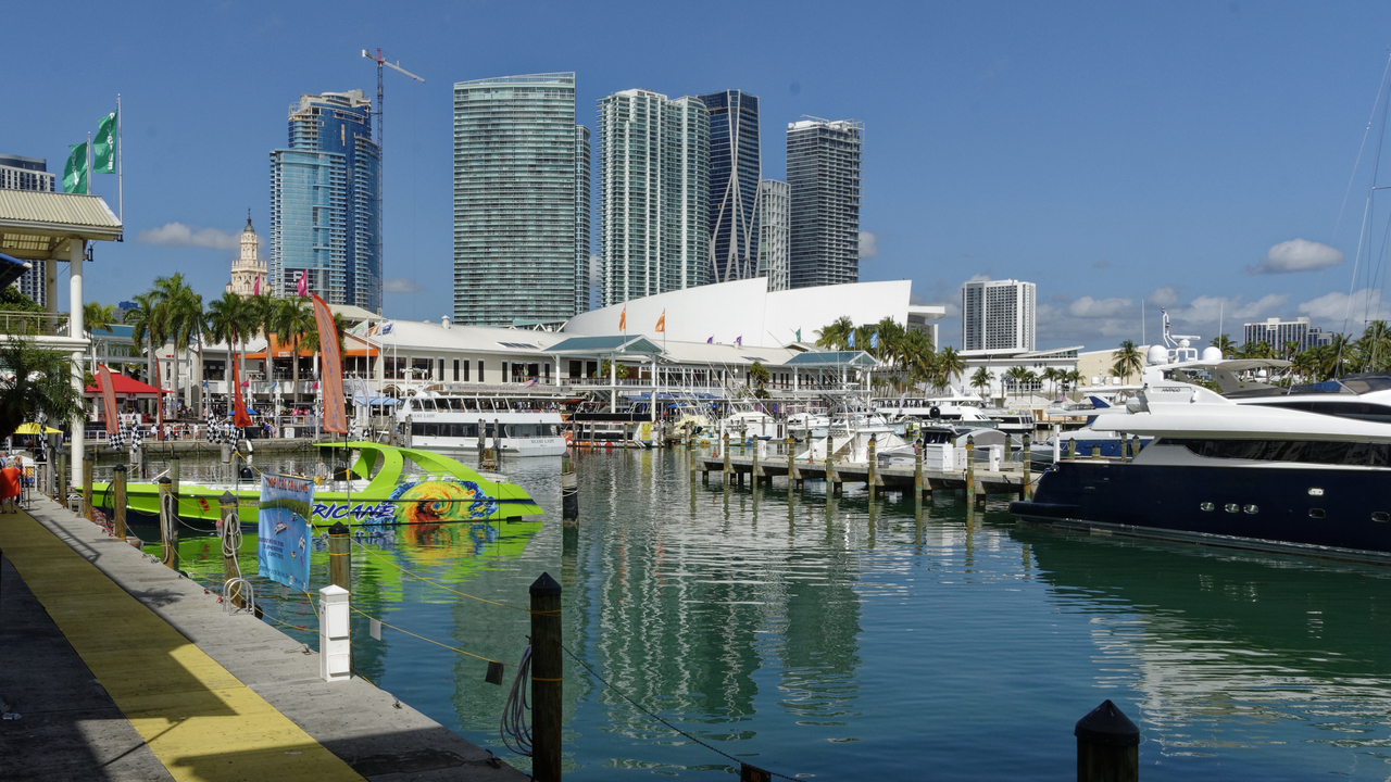 20190214-105527••Miami•Florida•United States